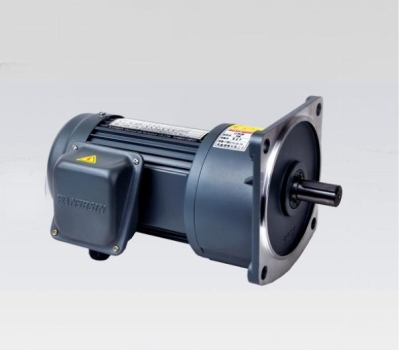 Motor giảm tốc Wanshsin Mặt bích
